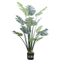 uploads/erp/collection/images/Home Garden/dgjiawang/XU0612549/img_b/XU0612549_img_b_5